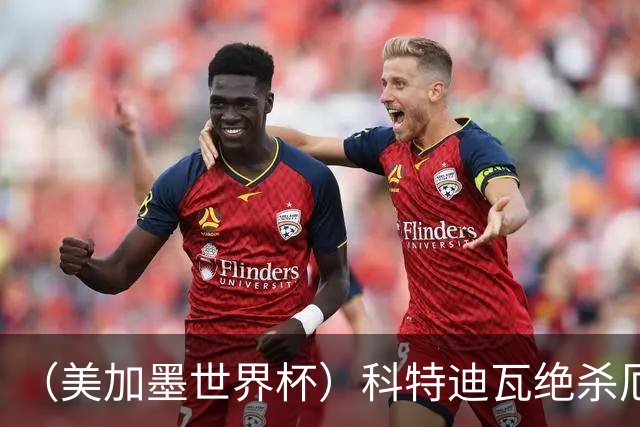 （美加墨世界杯）科特迪瓦绝杀厄瓜多尔 瑞典5:1大胜突尼斯